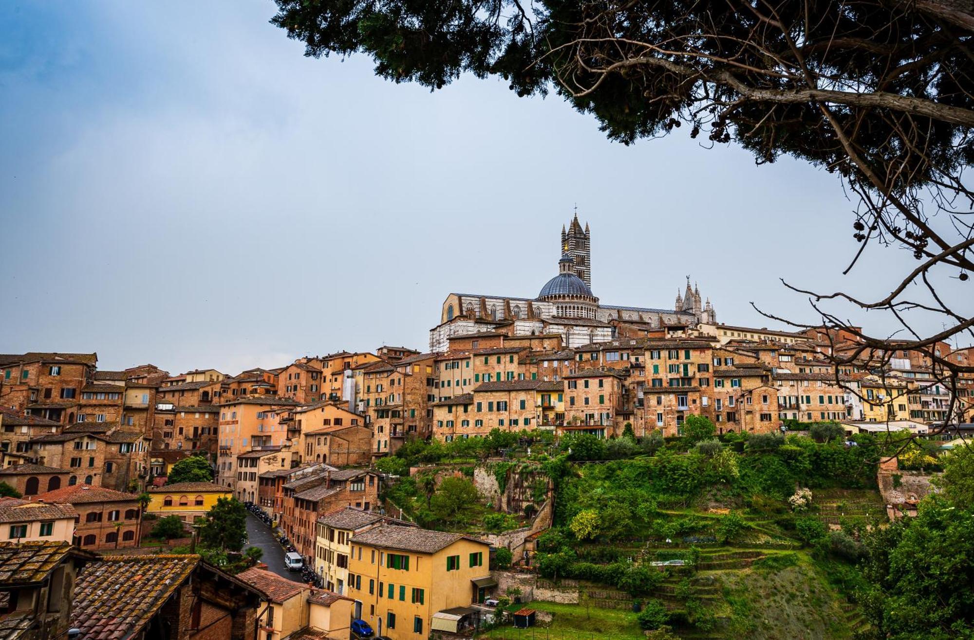 Civico116 - Dentro Le Mura, Parcheggio Gratuito Сиена Экстерьер фото